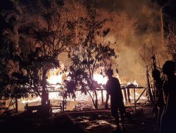 KARENA NENEK PIKUN SEBUAH RUMAH DIAMUK SI JAGO MERAH