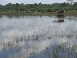 MERSAM TERENDAM BUAT WARGA KELAPARAN