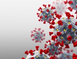 WHO SEBUT COVID-19 VARIAN ‘IHU’ DI PRANCIS BELUM JADI ANCAMAN SERIUS