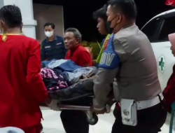 GAJAH MERENGGUT NYAWA KEPALA DUSUN