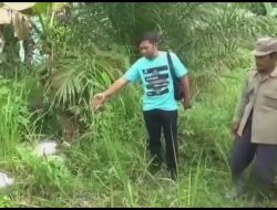 CURI 8 EKOR KAMBING, PELAKU LANGSUNG SEMBELIH TERNAK CURIAN