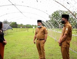 TAK KANTONGI IZIN, WABUP ROBBY HENTIKAN FESTIVAL OF LIGHT