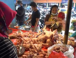 HARGA SEJUMLAH BAHAN PANGAN NAIK, DAGING RP 150 RIBU/KG