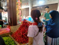 CABAI MERAH RASA DAGING