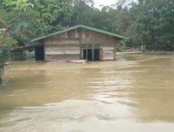 RATUSAN RUMAH TERENDAM BANJIR, 20 KEPALA KELUARGA MENGUNGSI