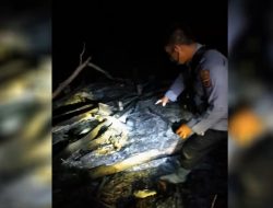 ASNAWI DITEMUKAN TEWAS TERPANGGANG DI KEBUN KARET