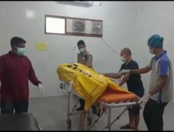 JASAD PRIA TERGANTUNG DI POHON KARET
