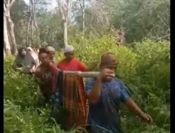 SEORANG DUDA DITEMUKAN TEWAS TERGANTUNG DI POHON