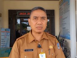 INFORMASI PENERIMAAN PPPK GURU DAN NAKES DI SAROLANGUN