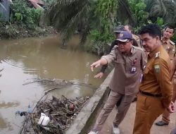 PJ BUPATI TINJAU LOKASI BANJIR DI DESA TANGKIT KECAMATAN SUNGAI GELAM