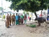Ketua TP PKK Provinsi Jambi Salurkan Bantuan Hewan Kurban di Dua Kabupaten