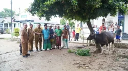 Ketua TP PKK Provinsi Jambi Salurkan Bantuan Hewan Kurban di Dua Kabupaten